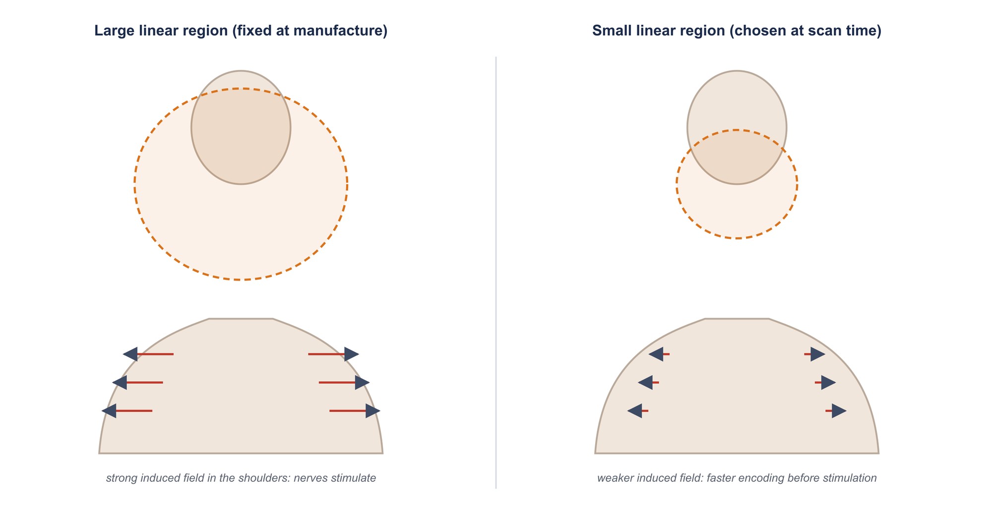 Two panels comparing a large and a small linear region and the induced field in the shoulders
