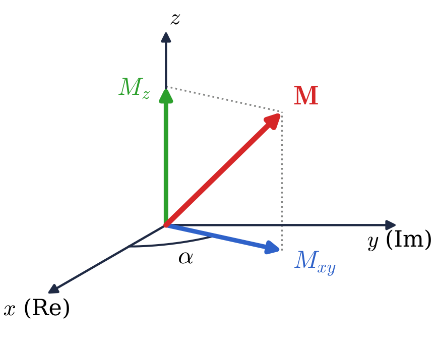 The magnetization vector with its longitudinal component Mz and its transverse component Mxy drawn as a complex number at the angle alpha