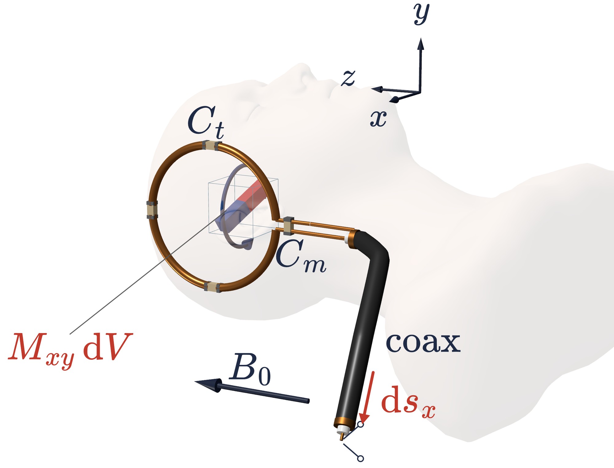 The voxel on the coil of Figure 1; its x moment sends a wave out of the coax